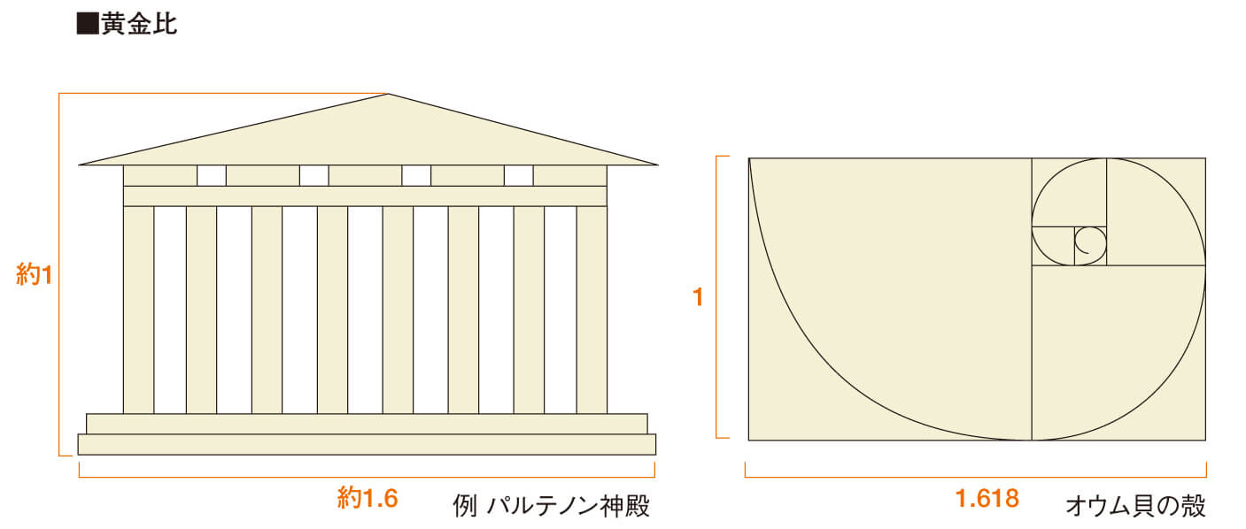 皆が美しいと感じる 黄金比 白銀比 改善lab